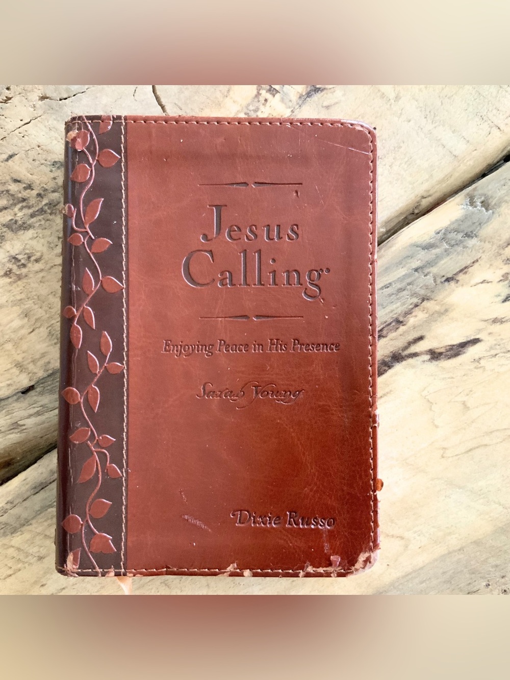 Jesus Calling Sarah Young Leather Bound 2004 Devotional